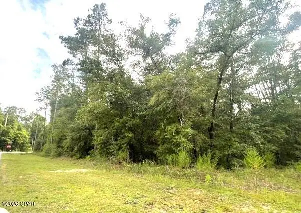 0 View Drive, Alford, FL 32420 - #3