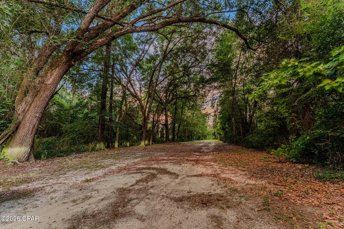 TBD Highway 90, Grand Ridge, FL 32442 - #1