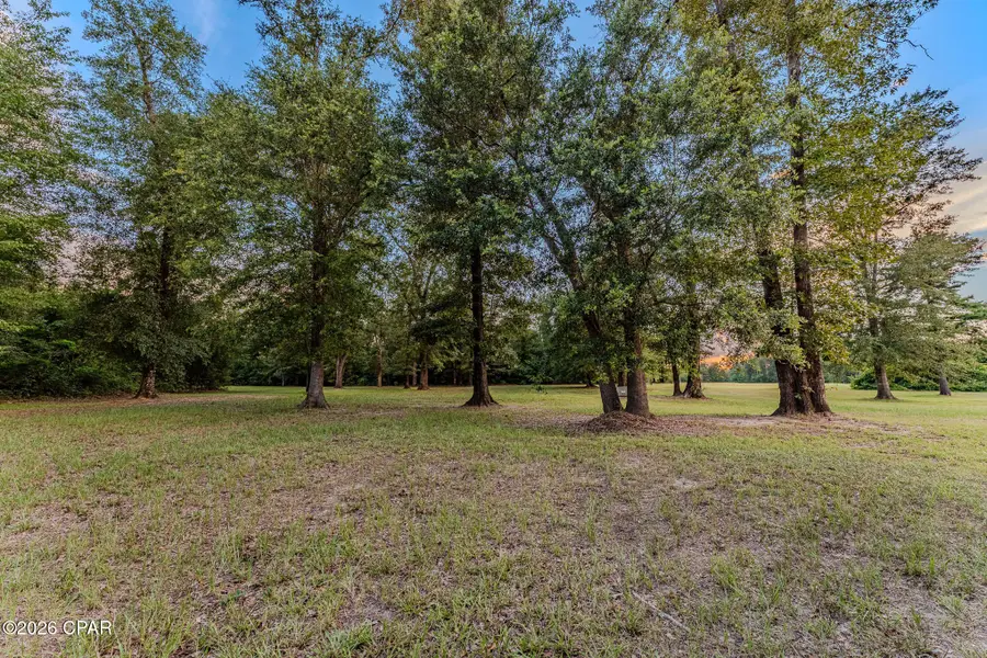 TBD Highway 90, Grand Ridge, FL 32442 - #3