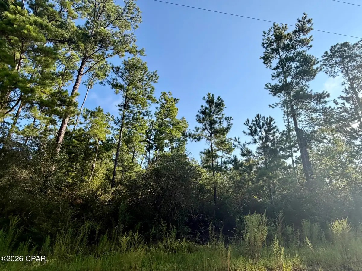 Lot 4 Black Hills Street, Alford, FL 32420 - #1