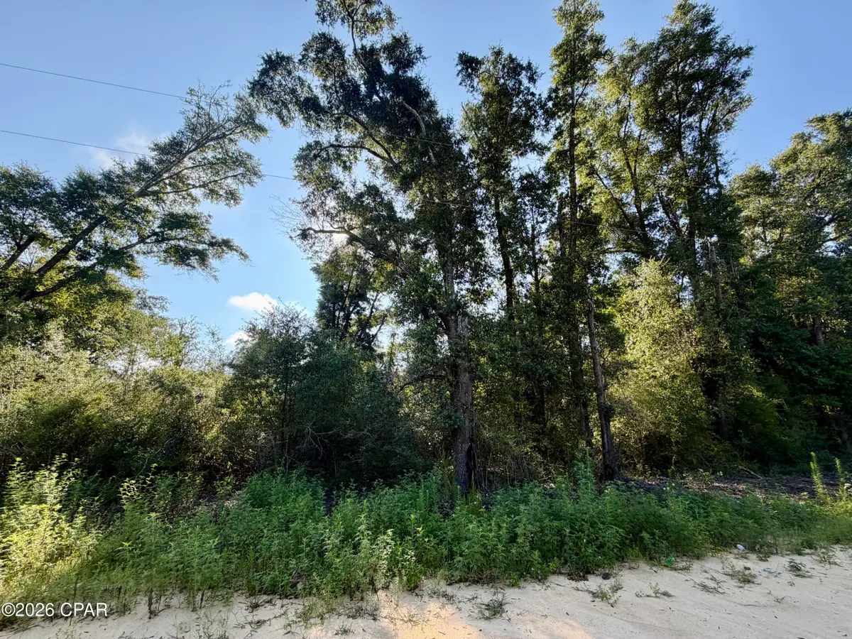 Lots 20-22 Sorrento Avenue, Alford, FL 32420 - #1
