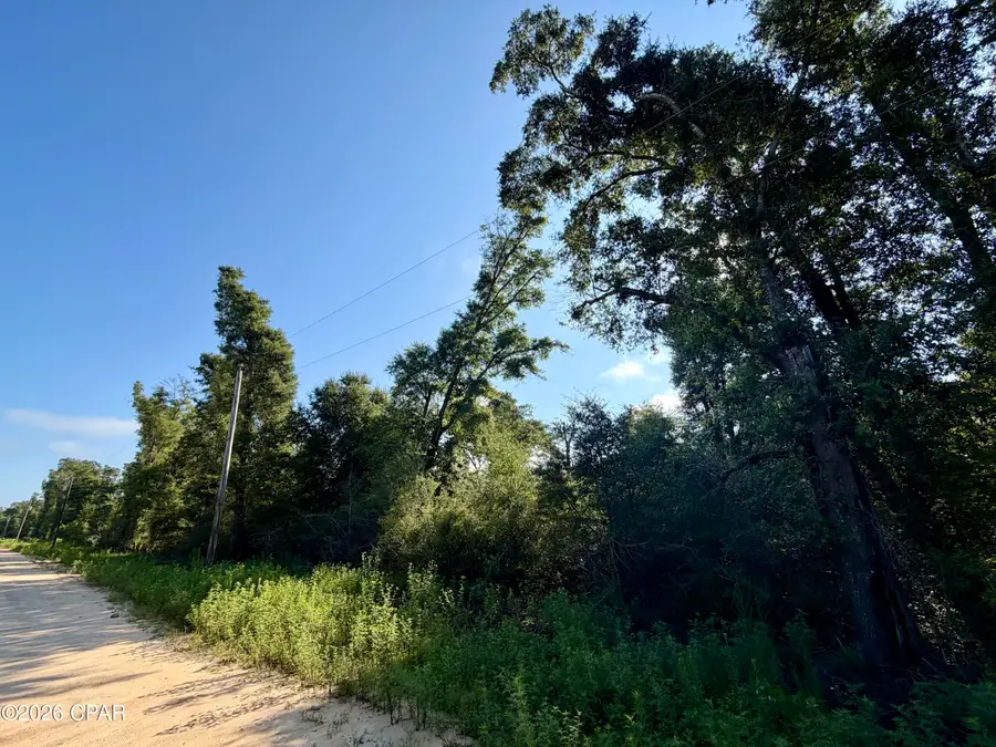 Lots 20-22 Sorrento Avenue, Alford, FL 32420 - #2