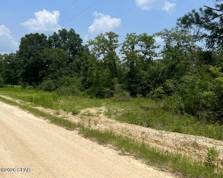 0 Alton Lane, Chipley, FL 32428 - #1