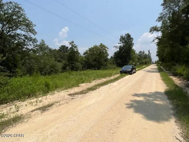0 Alton Lane, Chipley, FL 32428 - #2