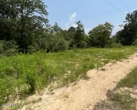 0 Alton Lane, Chipley, FL 32428 - #3