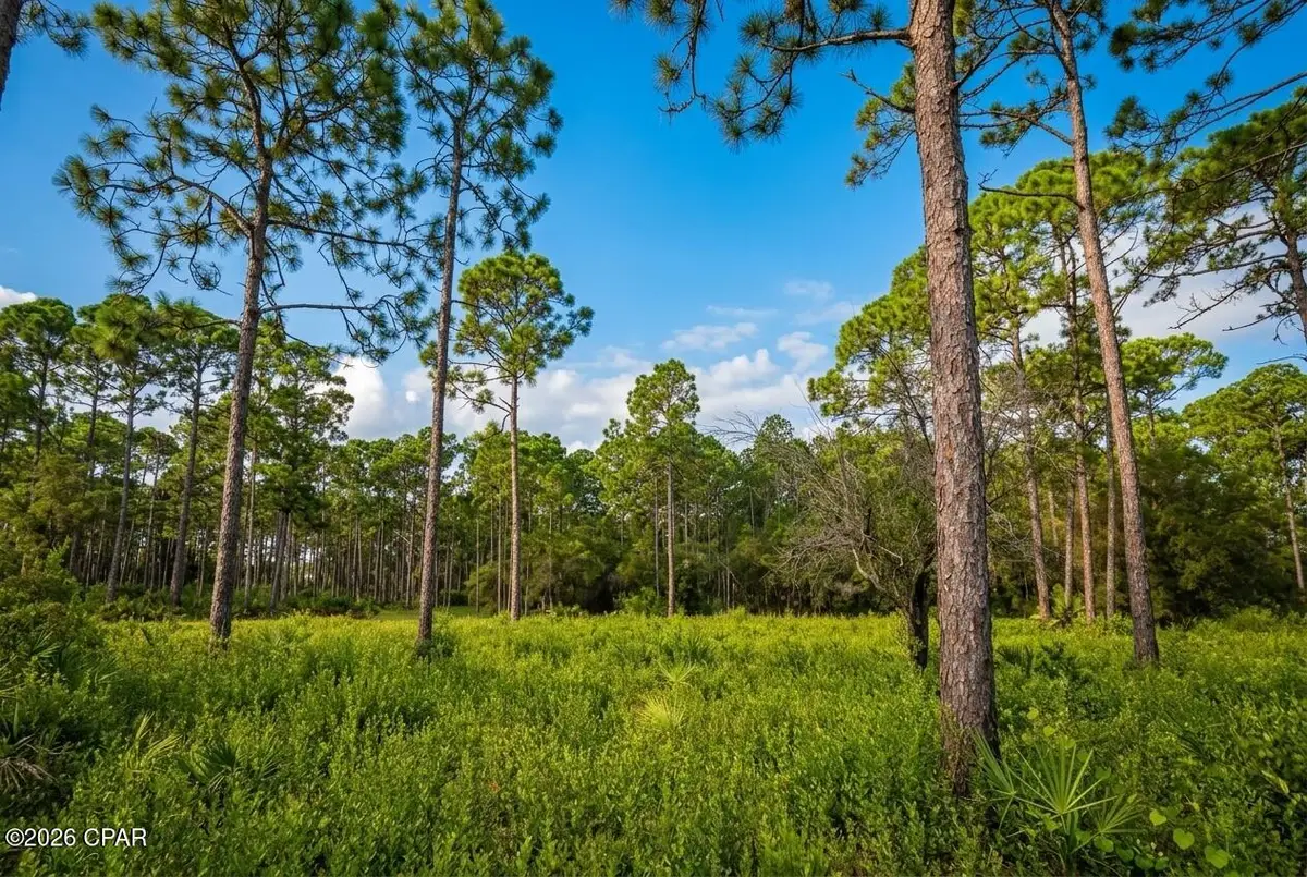 109 Via Italia, Panama City Beach, FL 32407 - #1