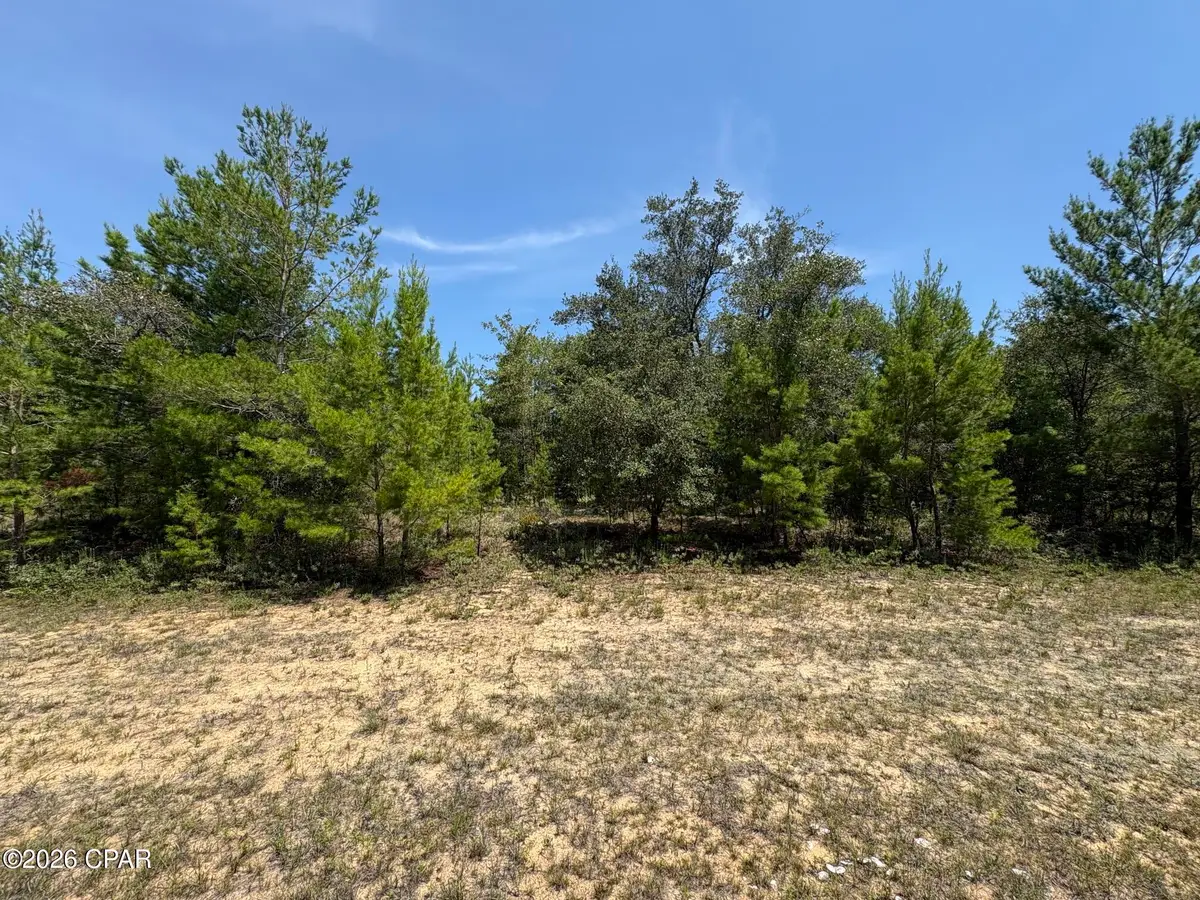 LOT 2 Fairchild Court, Chipley, FL 32428 - #1