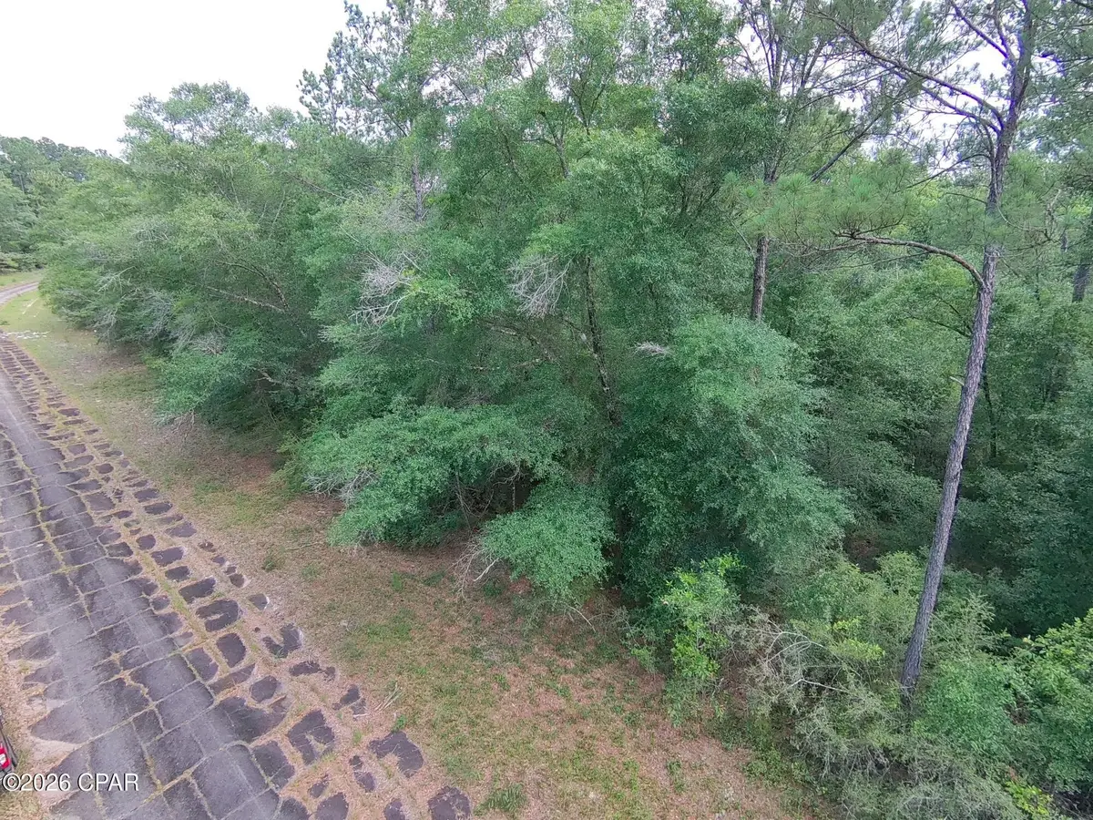LOT 38 Birchwood Drive, Chipley, FL 32428 - #1