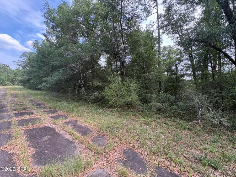 LOT 38 Birchwood Drive, Chipley, FL 32428 - #2