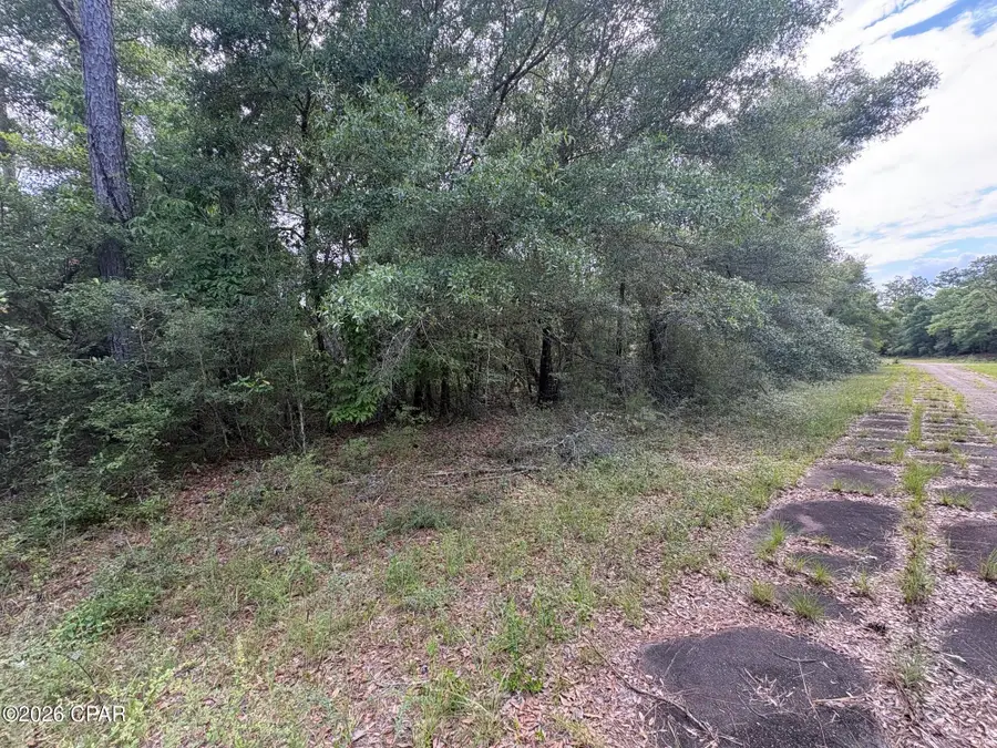 LOT 39 Birchwood Drive, Chipley, FL 32428 - #2