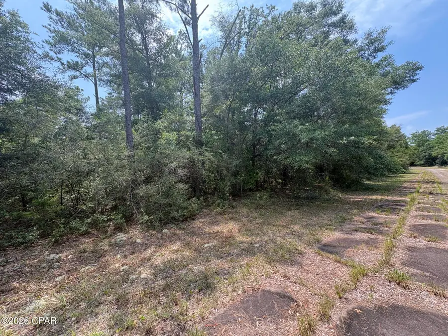 LOT 39 Birchwood Drive, Chipley, FL 32428 - #3