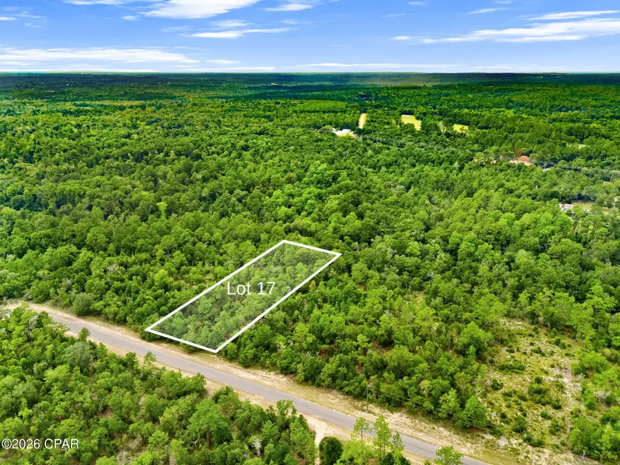 0 Firwood Avenue #Lot 17, Chipley, FL 32428 - #3