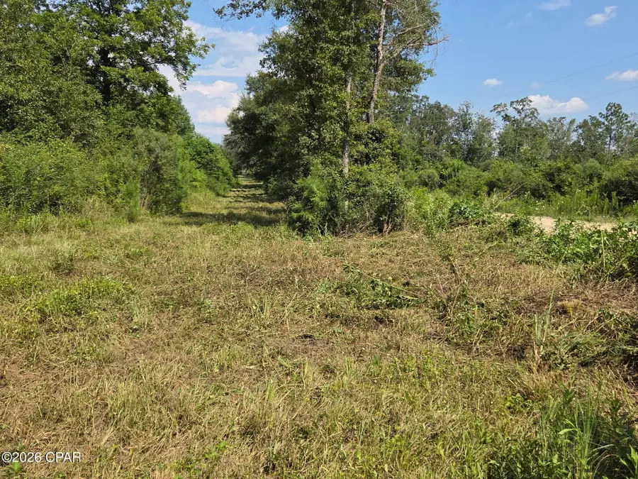 TBD Poplar Head Road, Bonifay, FL 32425 - #2