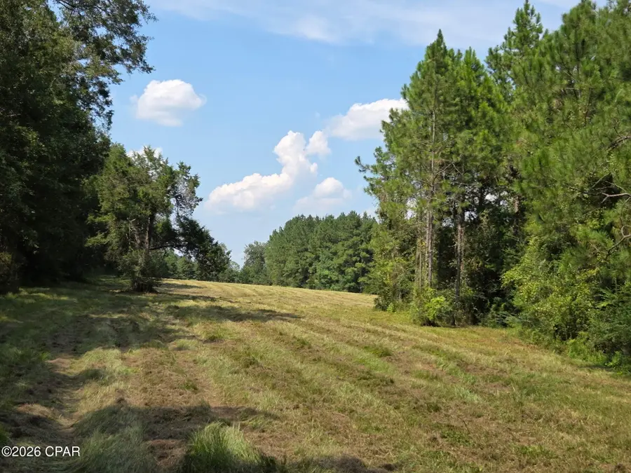 TBD Poplar Head Road, Bonifay, FL 32425 - #3