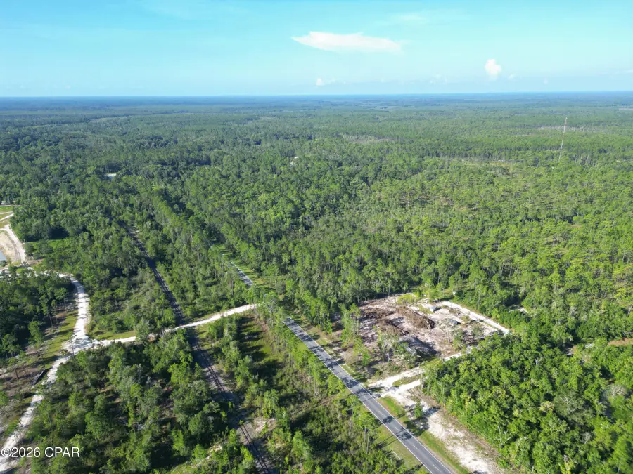 TBD SW State Road 65, Bristol, FL 32321 - #3