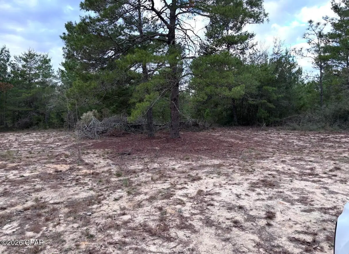 00 Fairhaven Drive #Lot 10, Chipley, FL 32428 - #1
