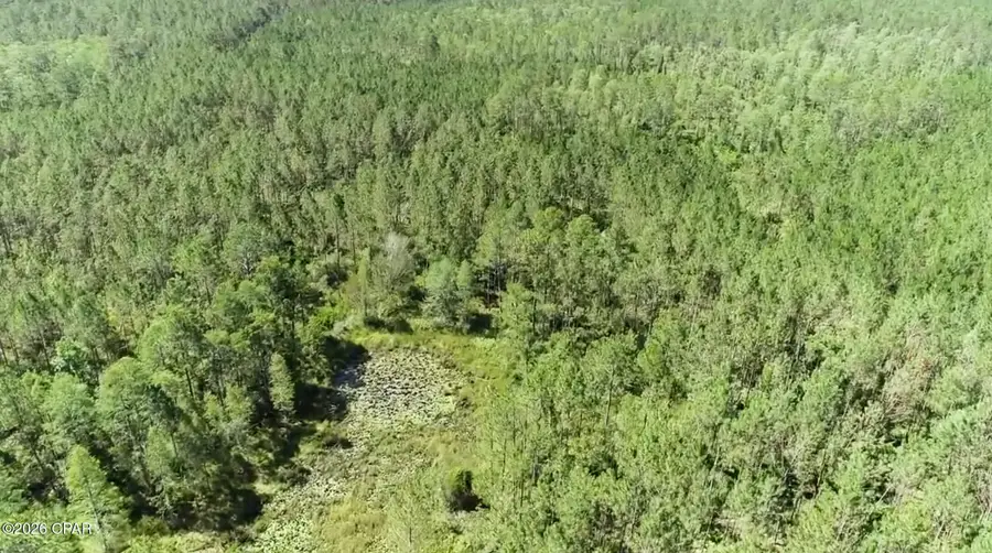 0000 SW Vacant Sw Wesley Road, Madison, FL 32340 - #2