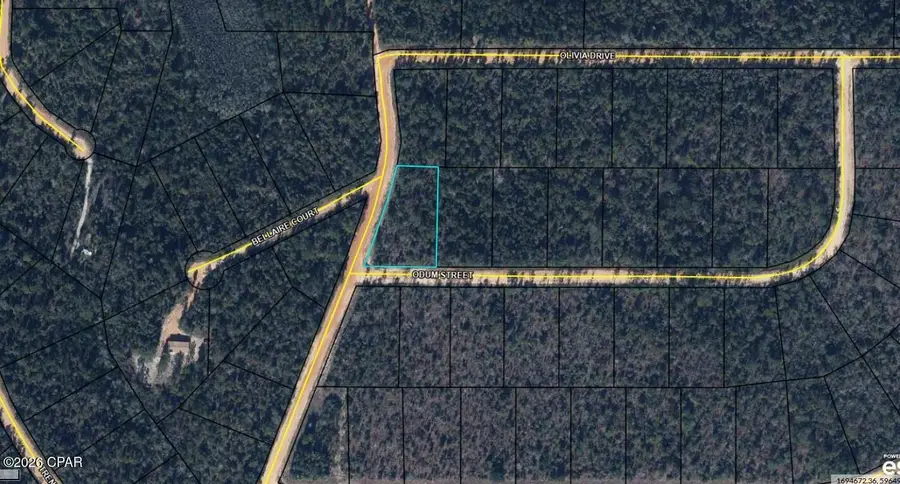 TBD Odum Street, Alford, FL 32420 - #2
