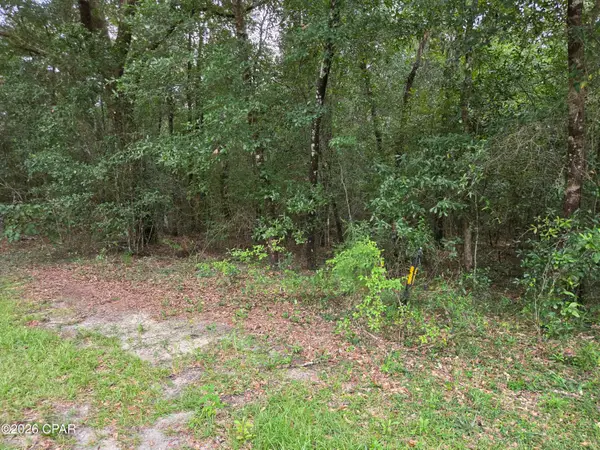 0000 Quail Ridge Drive, Chipley, FL 32428