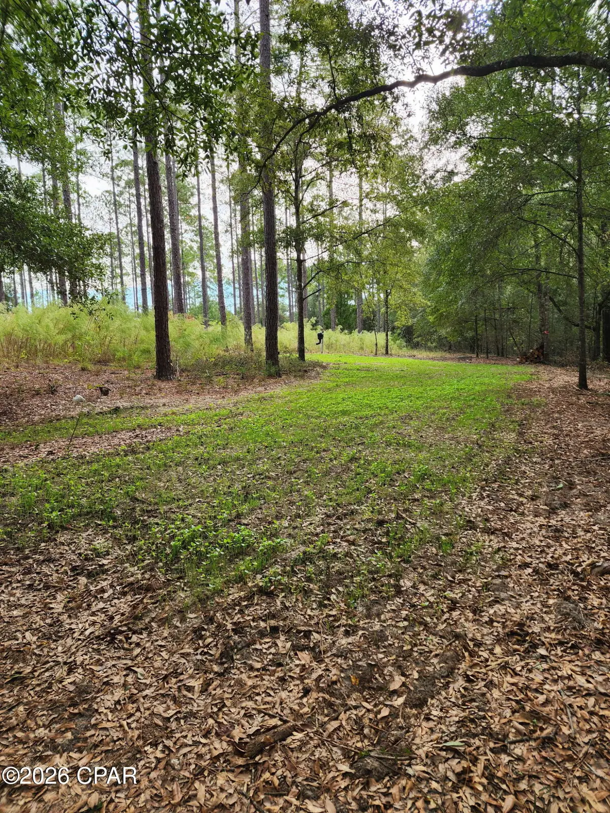 1745 Turkey Oak Trail, Bonifay, FL 32425 - #1