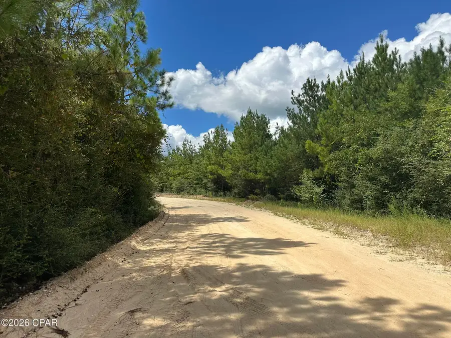 Tract#6418 N Mattox Springs Road, Caryville, FL 32427 - #3