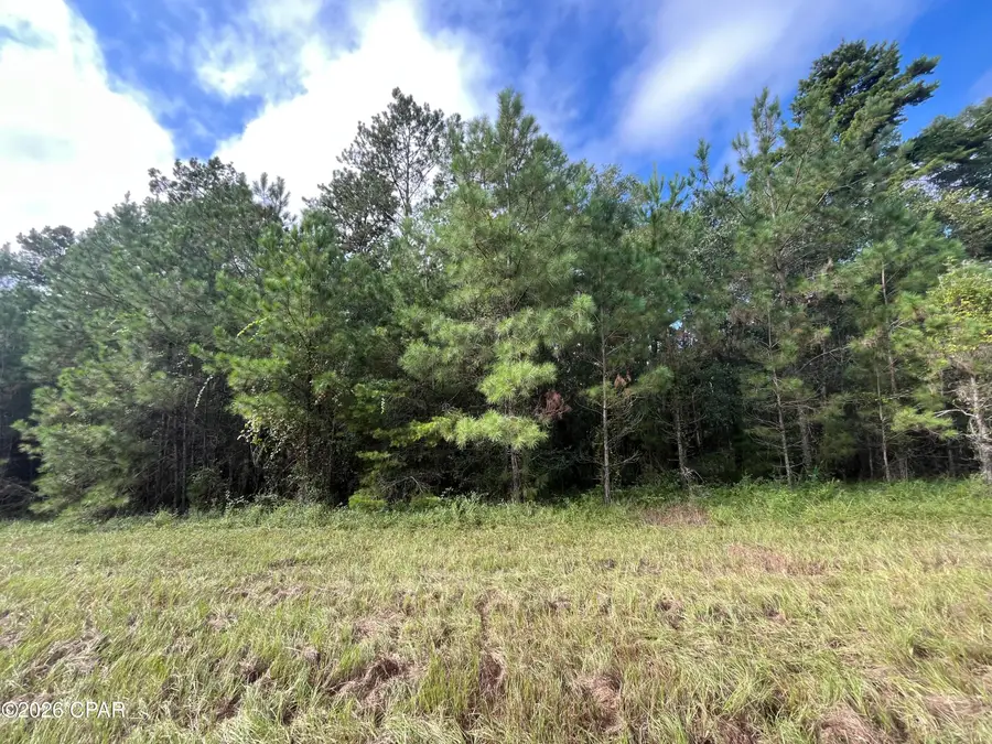 138 Bradwell Lane, Midway, FL 32343 - #2