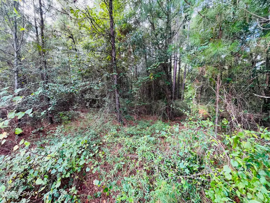 138 Bradwell Lane, Midway, FL 32343 - #3