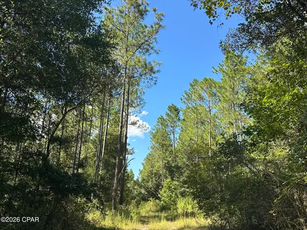 Tract#6421 Clayton Road, Caryville, FL 32425