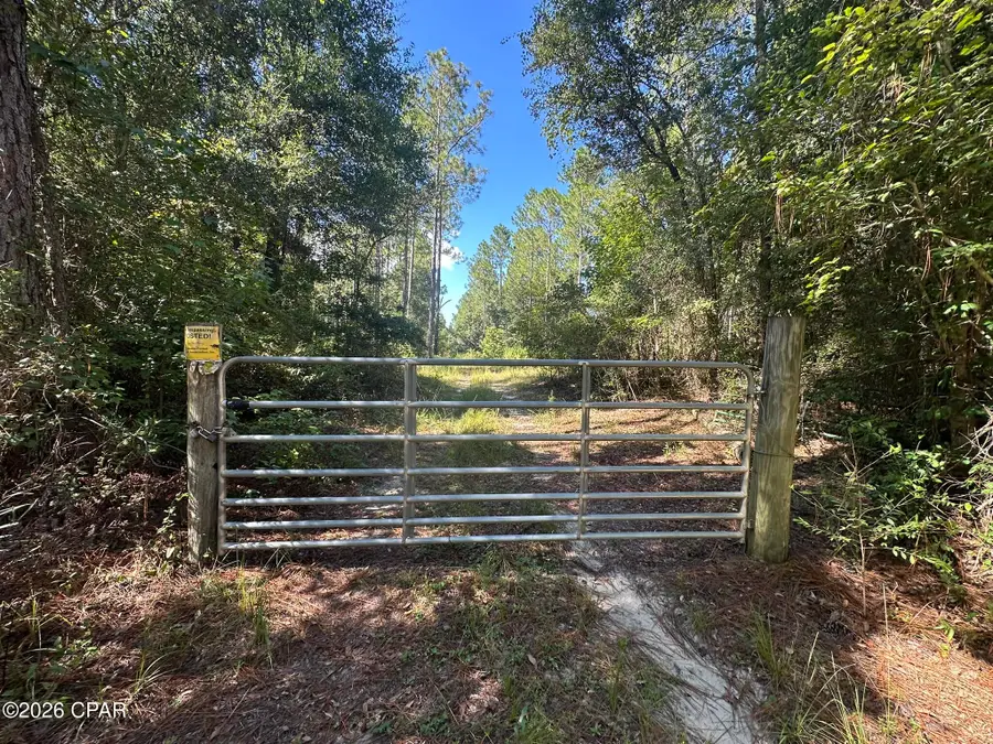 Tract#6421 Clayton Road, Caryville, FL 32425 - #3