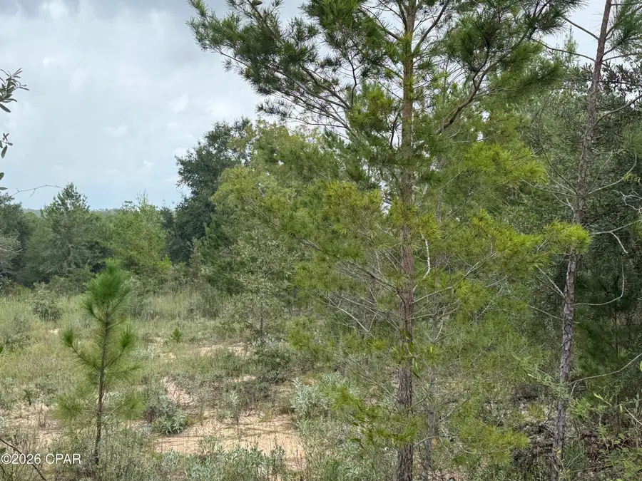 2504 Radcliff Circle, Chipley, FL 32428 - #3