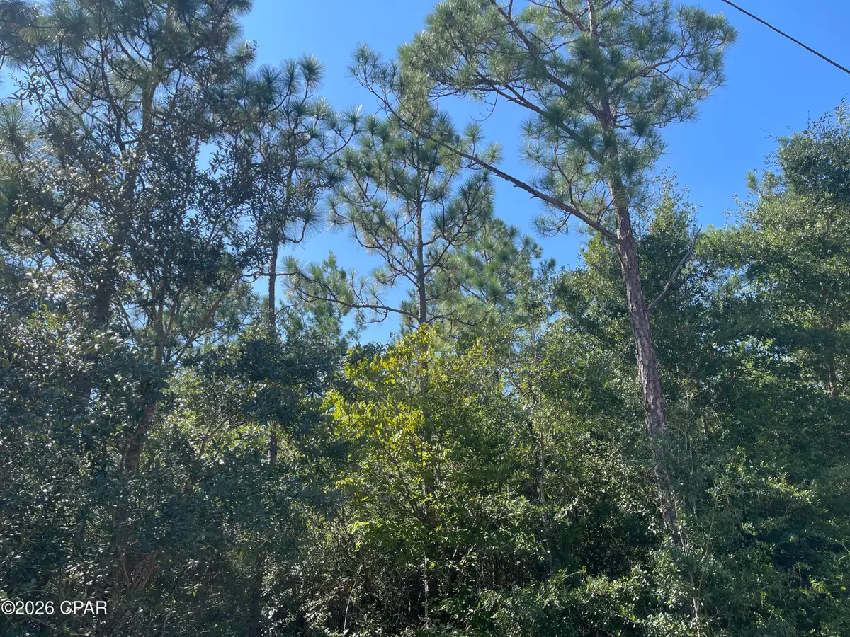 0000 Crossvine Court, Chipley, FL 32428 - #1
