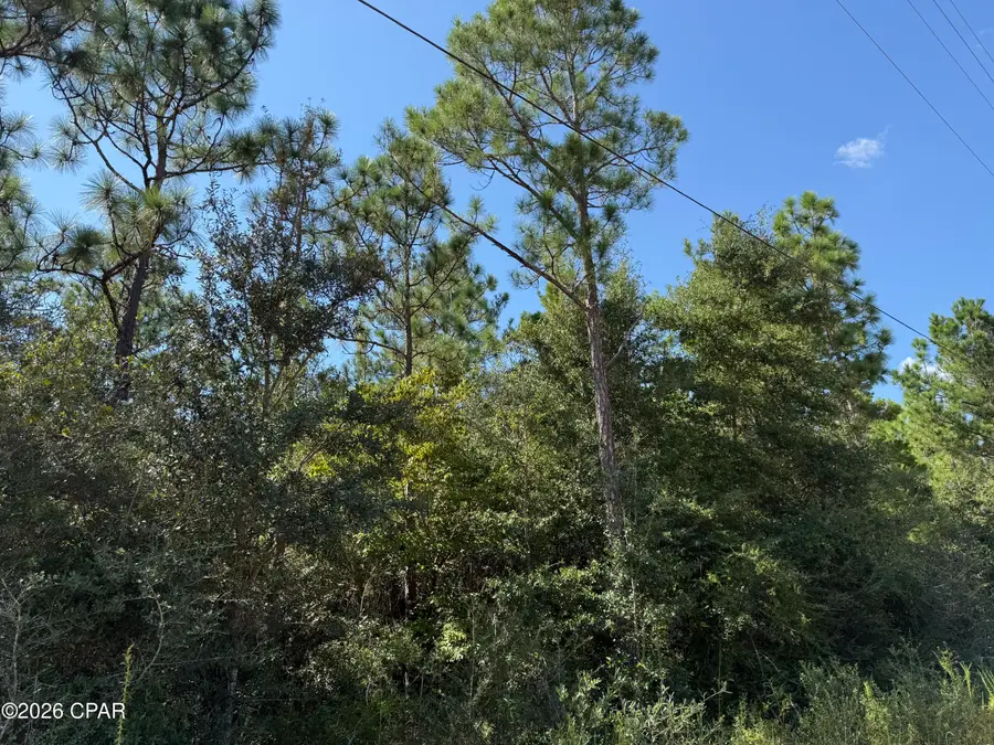 0000 Crossvine Court, Chipley, FL 32428 - #3