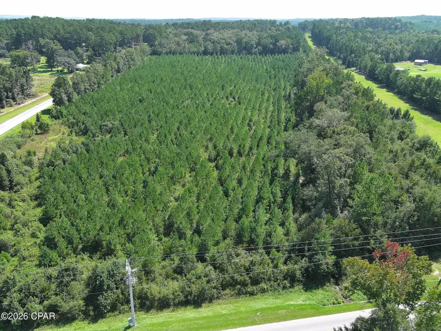 TBD Pioneer Road, Chipley, FL 32428 - #2