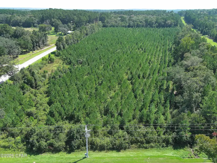 TBD Pioneer Road, Chipley, FL 32428 - #3