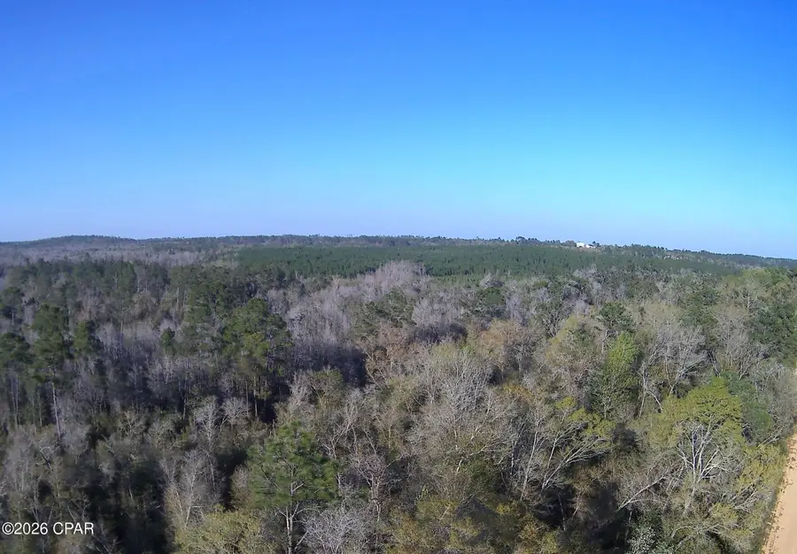 TBD Olivia Dr, Marianna, FL 32448 - #3