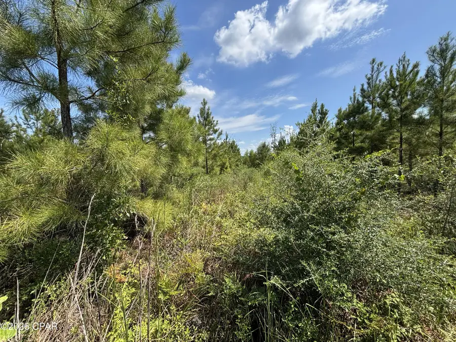 XXX SE Davis Peacock Road #Lot 51, Blountstown, FL 32424 - #2