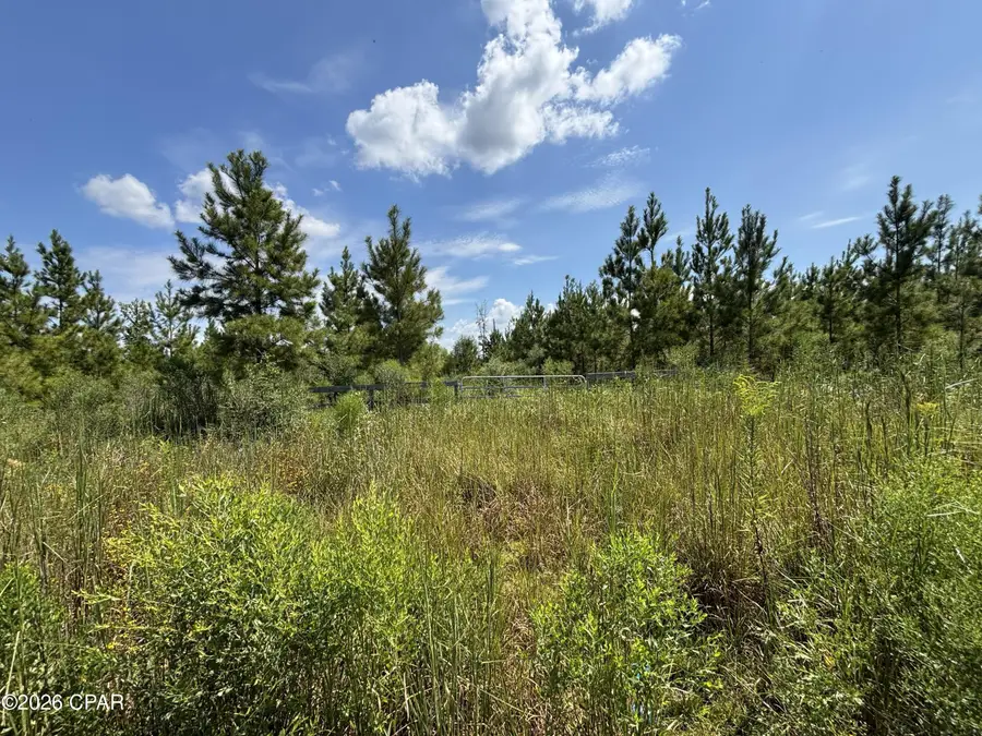 XXX SE Davis Peacock Road #Lot 51, Blountstown, FL 32424 - #3