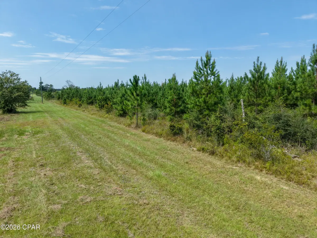 00 Beechum Lane, Marianna, FL 32448 - #1