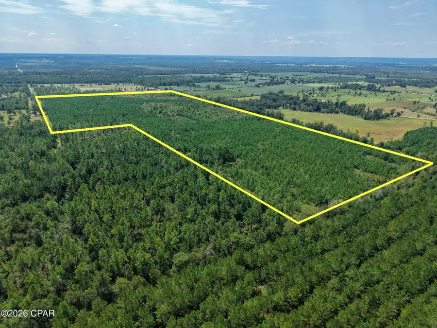 00 Beechum Lane, Marianna, FL 32448 - #2