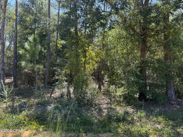 0 Abraham Street, Alford, FL 32420