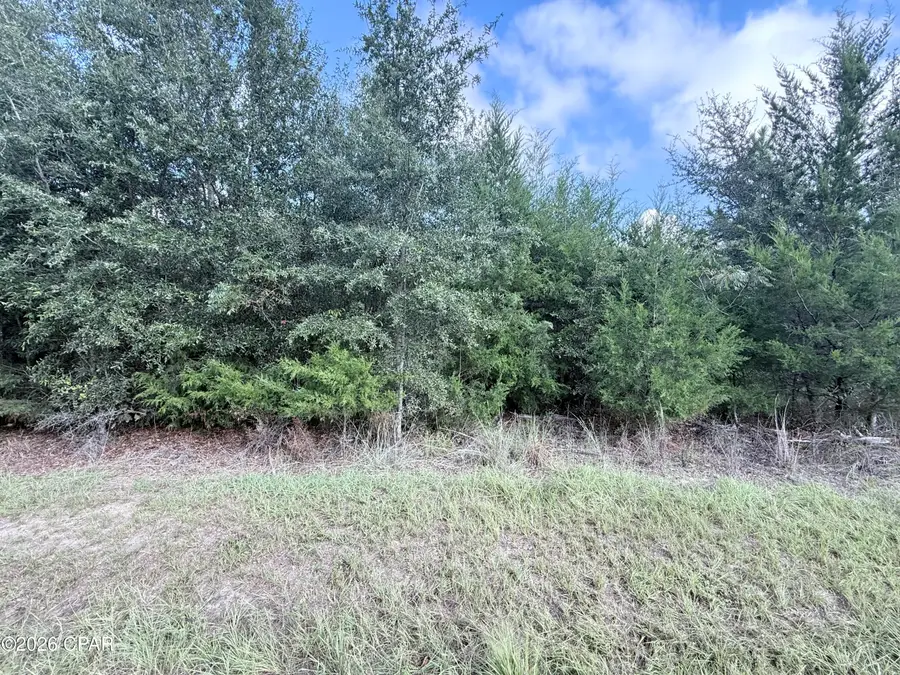 00 Neals Landing Road, Bascom, FL 32423 - #2