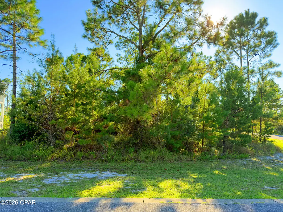 213 Stingray Lane, Port Saint Joe, FL 32456 - #1