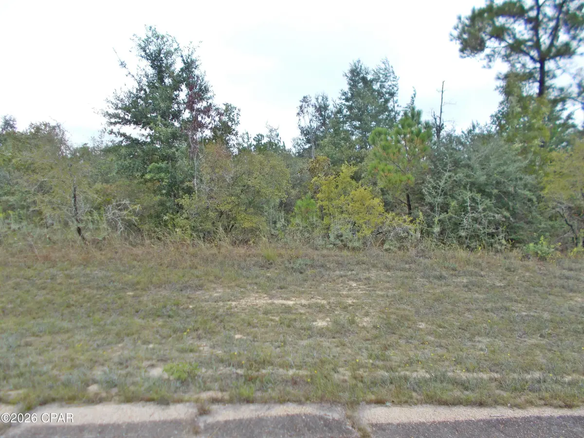 Lot 15 Valiant Drive, Chipley, FL 32428 - #1