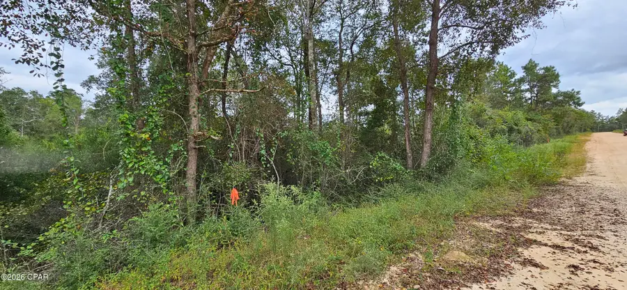0 Papaya Drive, Marianna, FL 32448 - #3