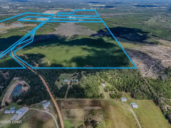 0 Thomas Dr And Davidson Rd Drive, Bonifay, FL 32425