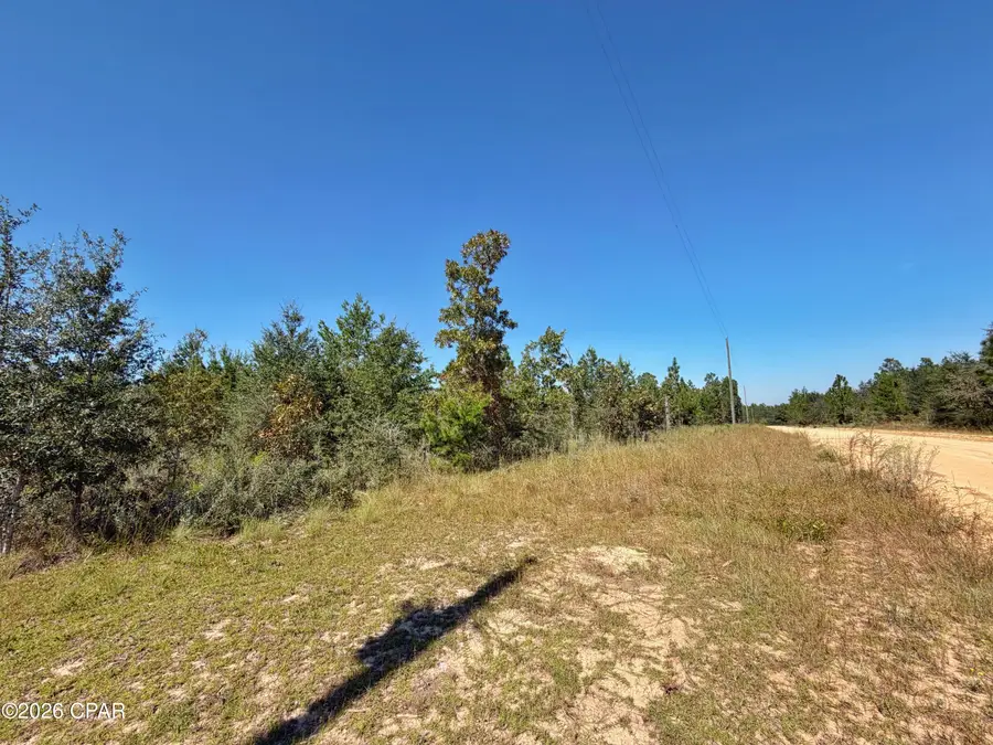121 Petty Road, Marianna, FL 32448 - #2