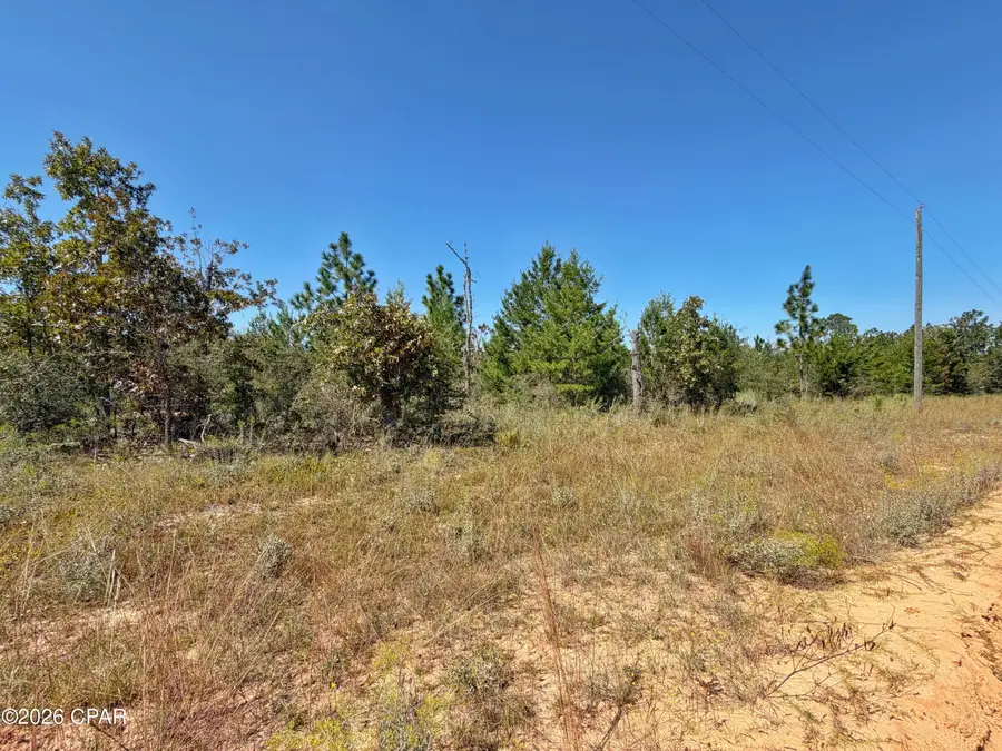 121 Petty Road, Marianna, FL 32448 - #3