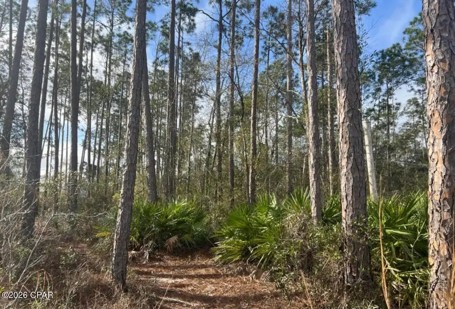 215 White Oaks Boulevard, Panama City, FL 32409 - #3