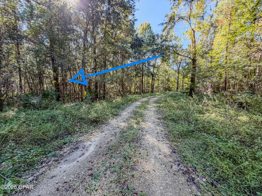 238 Riverside Circle, Wewahitchka, FL 32465 - #3