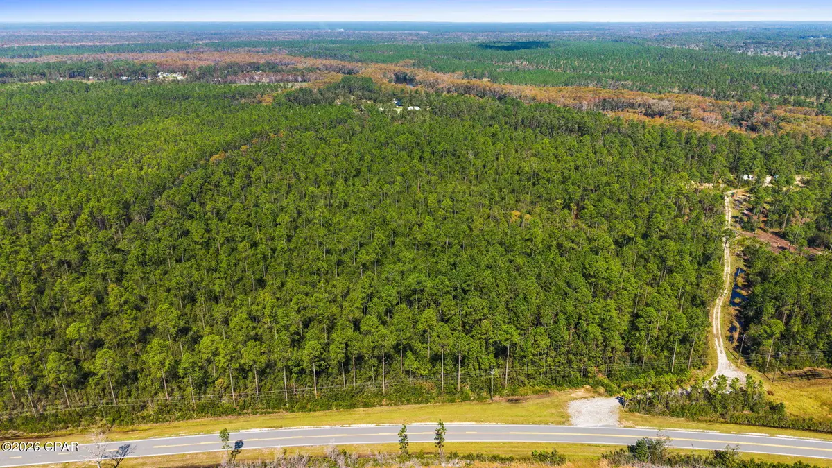 11298 Pine Log Road, Ebro, FL 32437 - #1